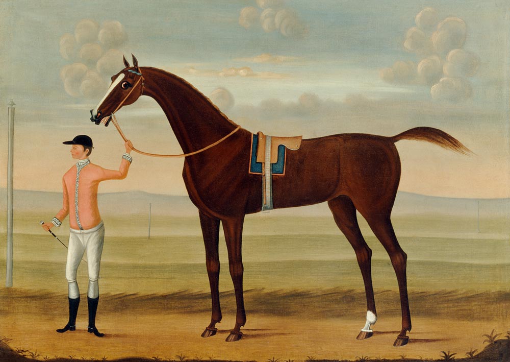 A Bay Racehorse with his Jockey on a Racecourse von Daniel Quigley
