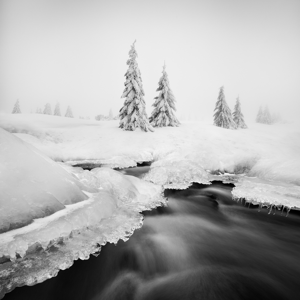 Ice creek... von Daniel Rericha
