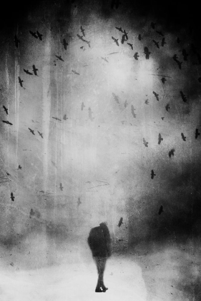 Ohne Titel von Daniela Riegler