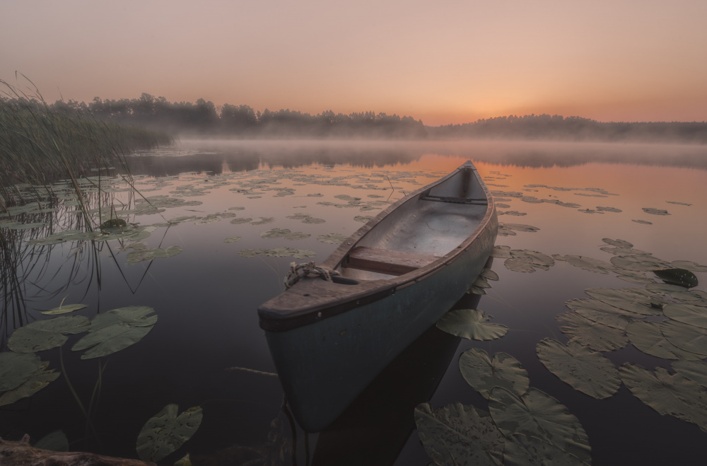Boat von Dariusz Budyta