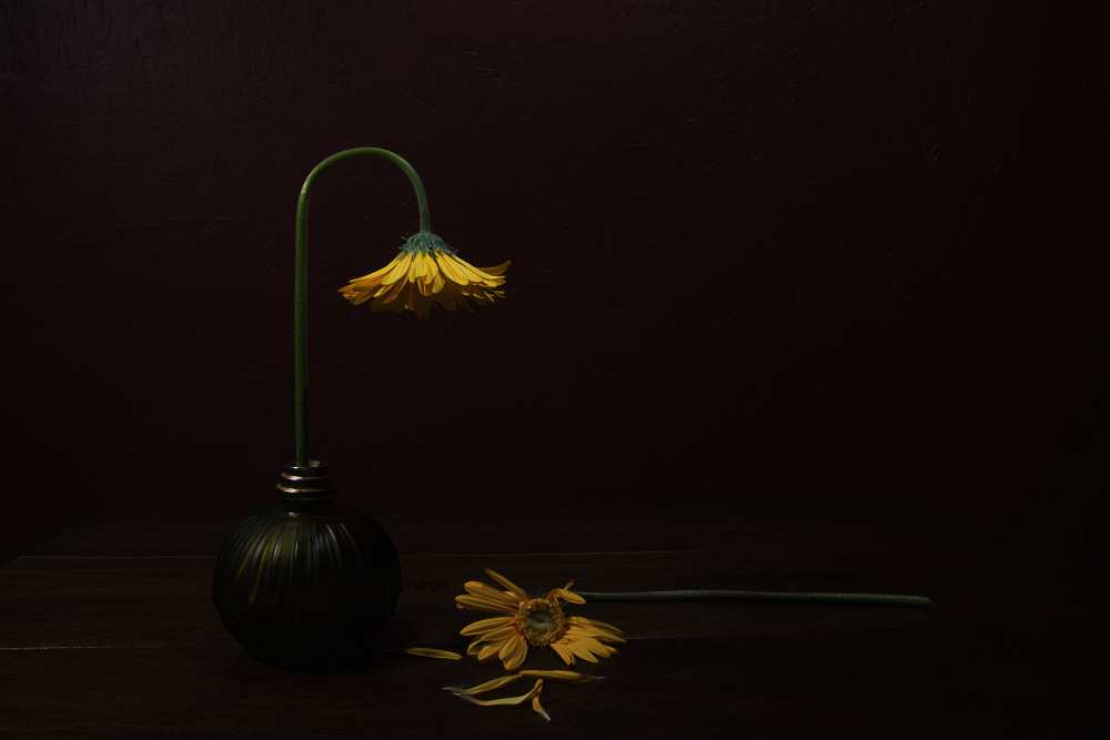 Death of A Relative von Darlene Hewson