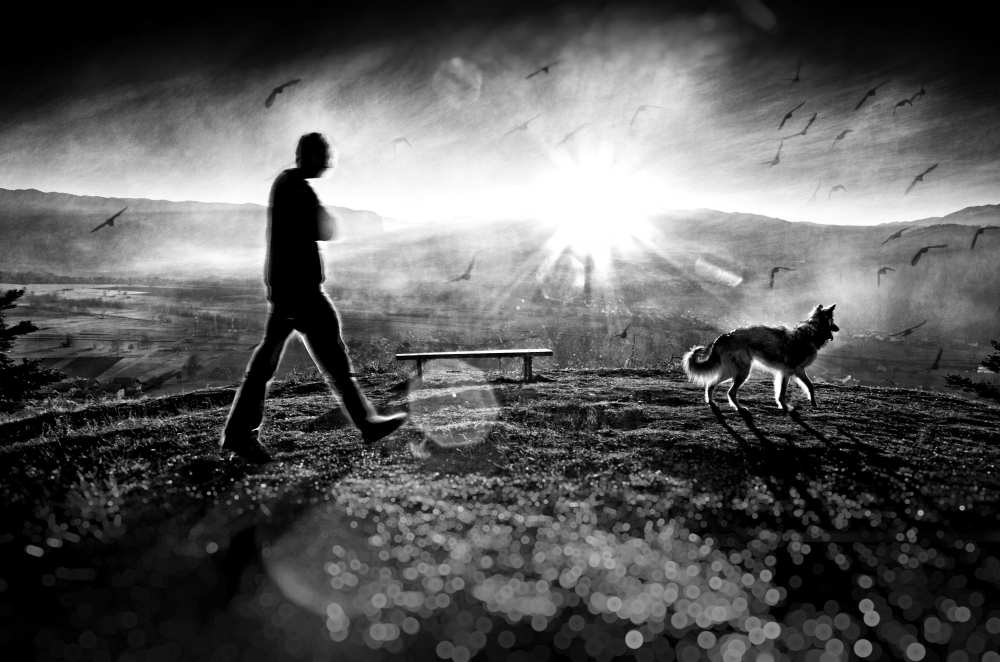 light & illusion von darteF pristov