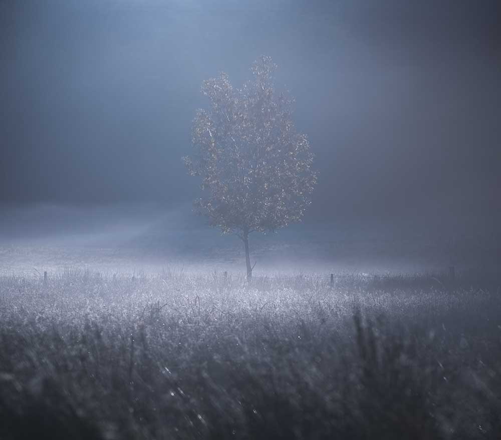 Eine Erinnerung an Licht von david ahern