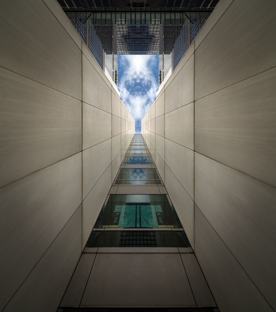 The Journey von David Chiodo