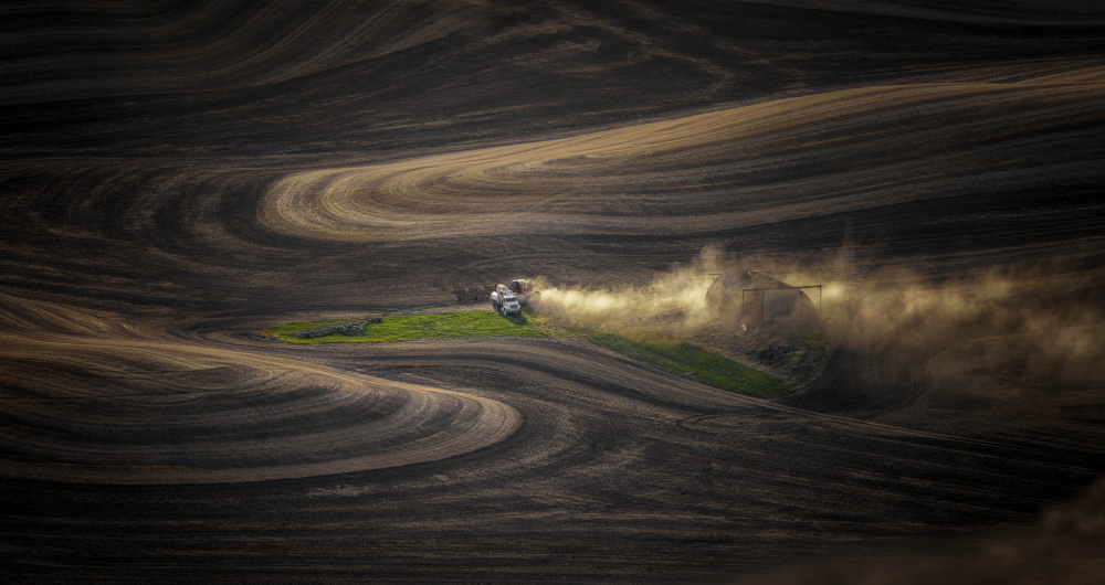 Oasis in the Wheat Field von David Guo