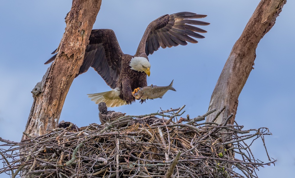 It is lunch time von David Hua