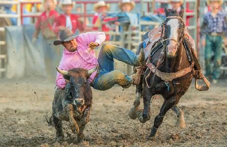 Steer Wrestling