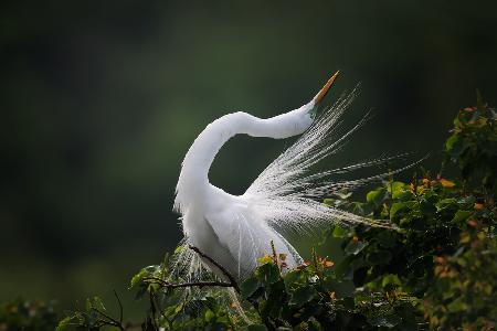 The moment you will never forget!