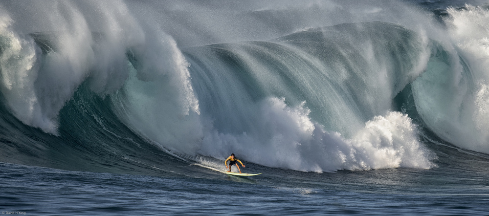 untitledl von David H Yang