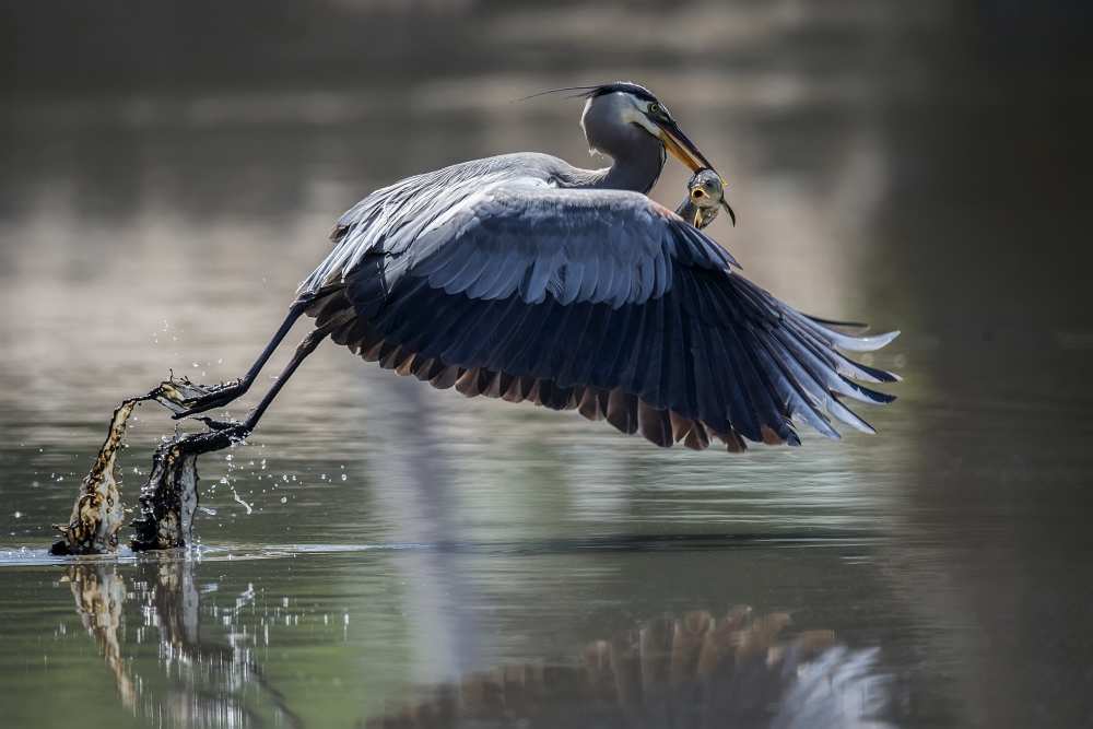 Untitled von David H Yang