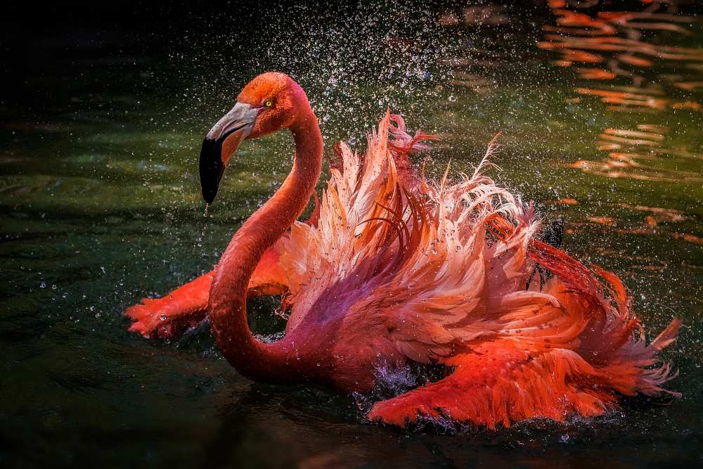 Untitled von David H Yang