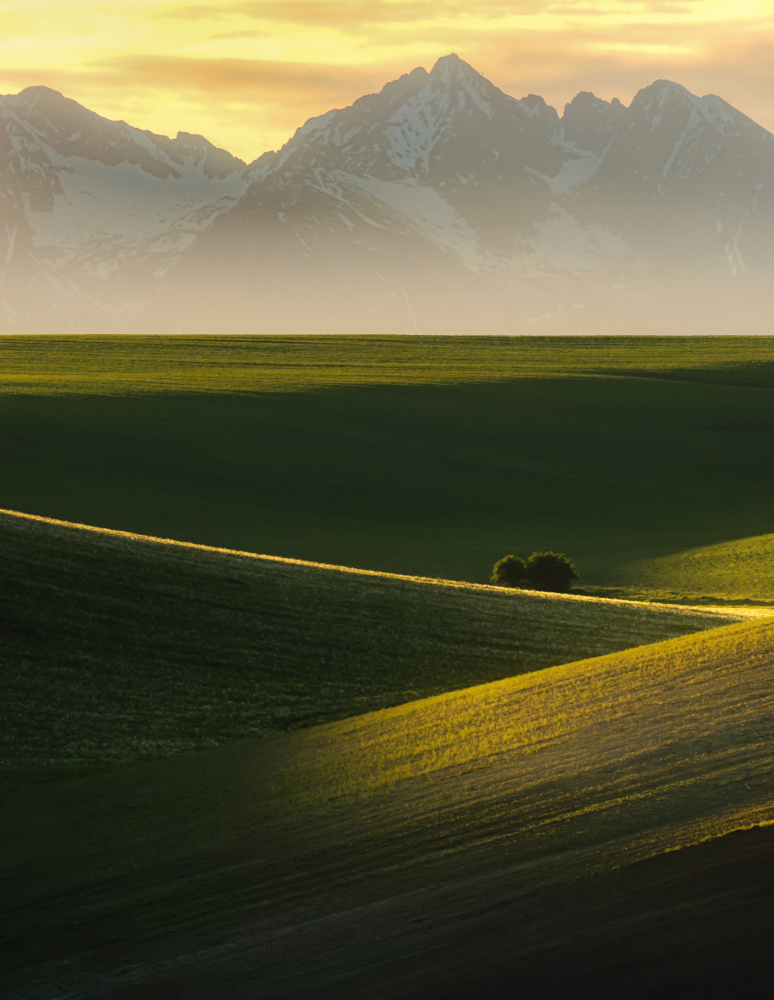 Spring sunset von David Ilkovic