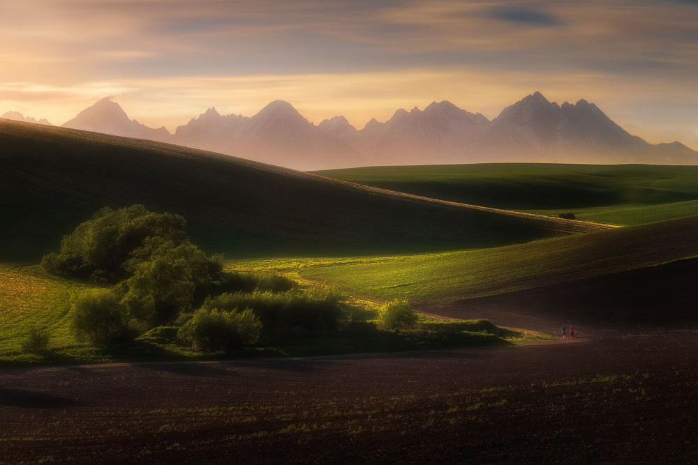 Summer time von David Ilkovic