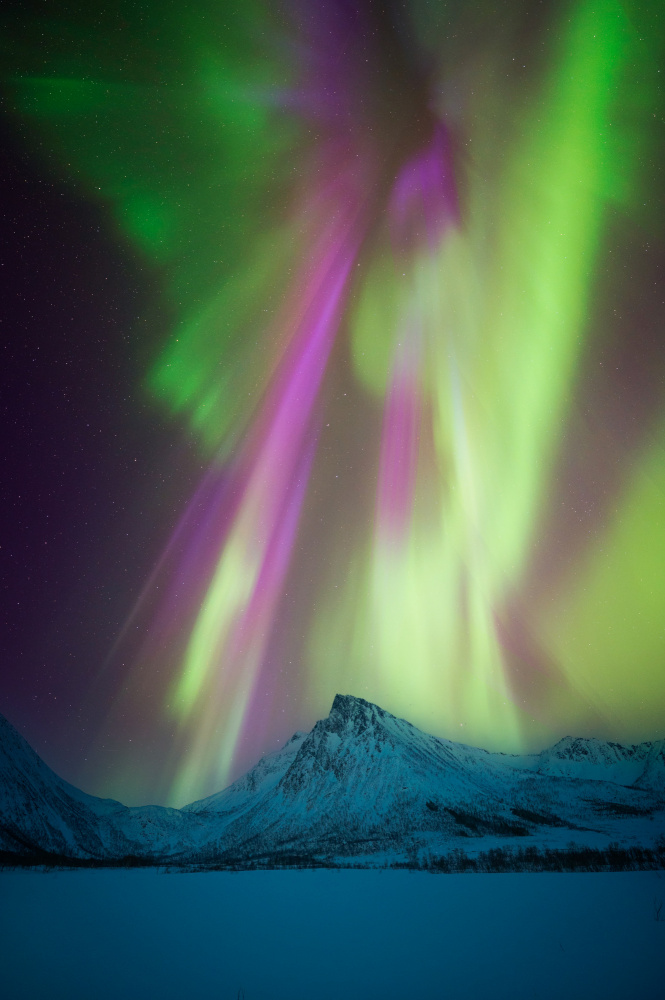 The Angel von David Martín Castán