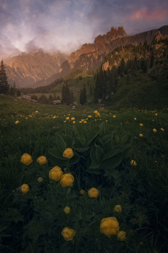 Dolomiti von David Martín Castán