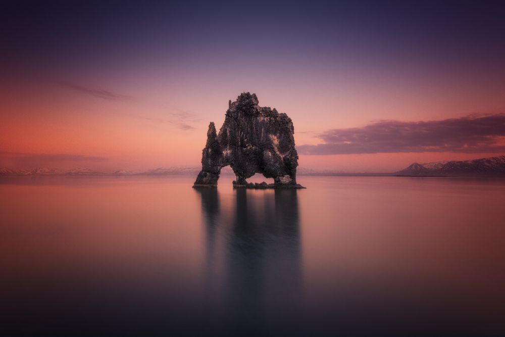 Nashorn von David Martín Castán