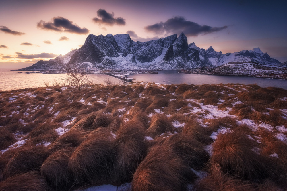 Ronterniel von David Martín Castán