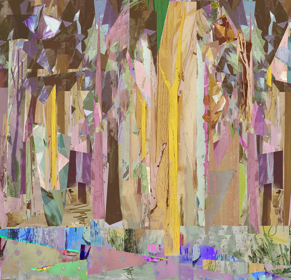 Copse/Fragments von David McConochie