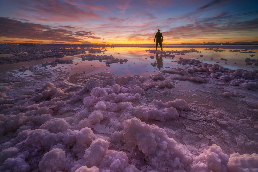 ALONE 12.0 von David Ros