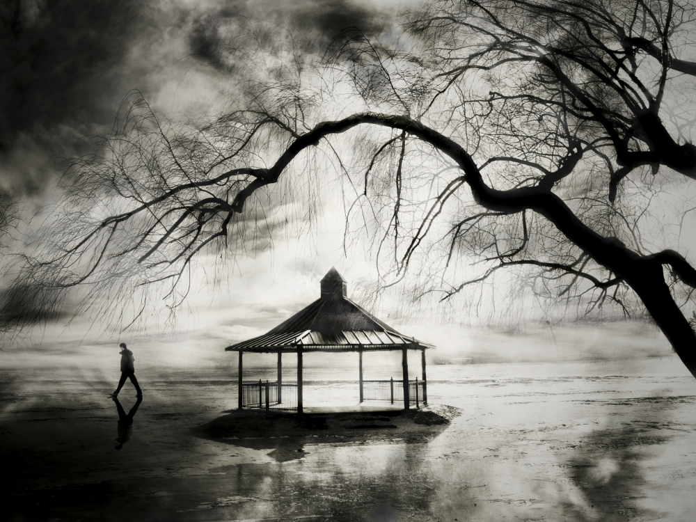 No More Music von David Senechal Photographie (polydactyle)