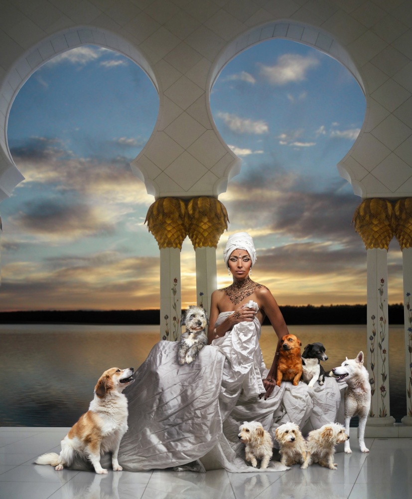 Elô &amp; her Dogs von DDiArte