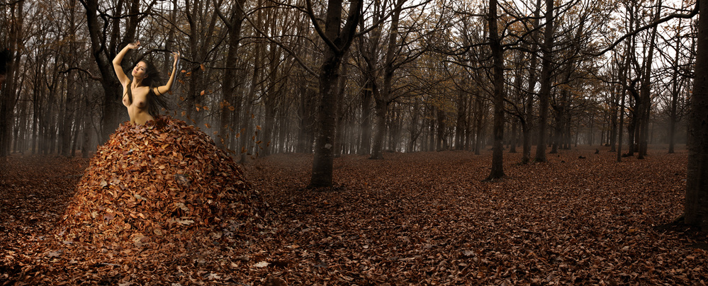 Nude Autumn von DDiArte