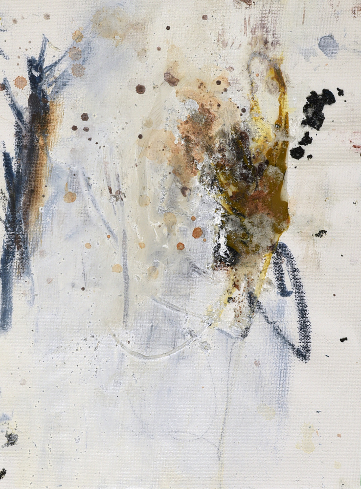 Brandywine Falls von Deb Chaney