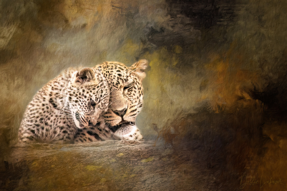 Cuddle von Debbie Lefever