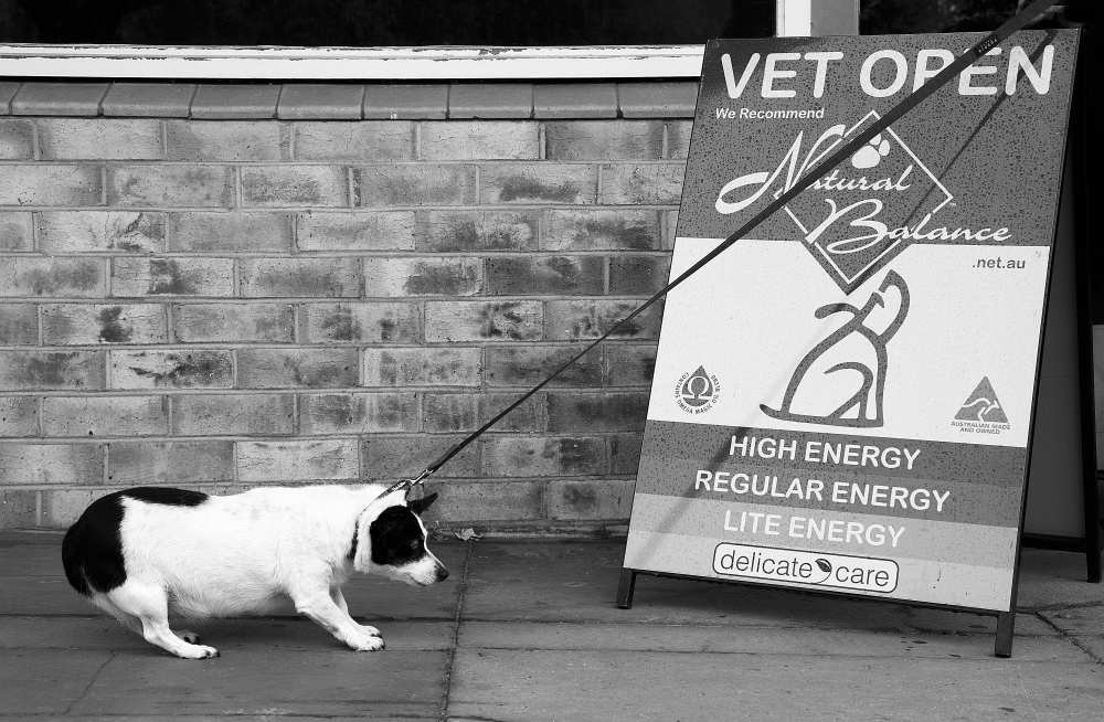 No, no.....definitely NO....! von Deborah Gugeri