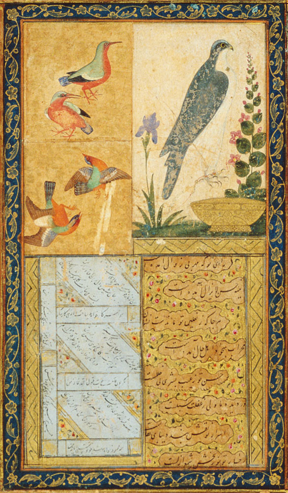 Bird study and calligraphy, Golconda, Andhra Pradesh von Deccani School