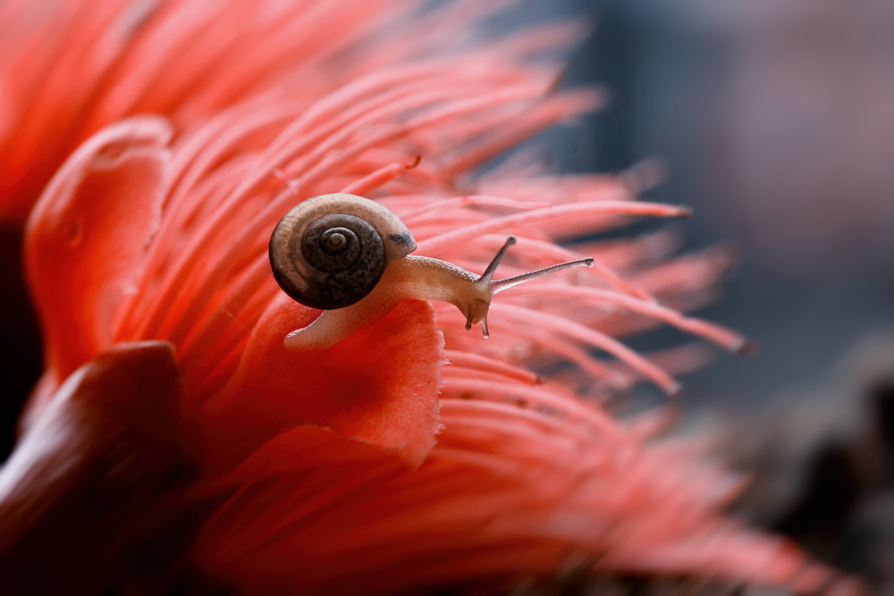 Hello von Dede Almustaqim