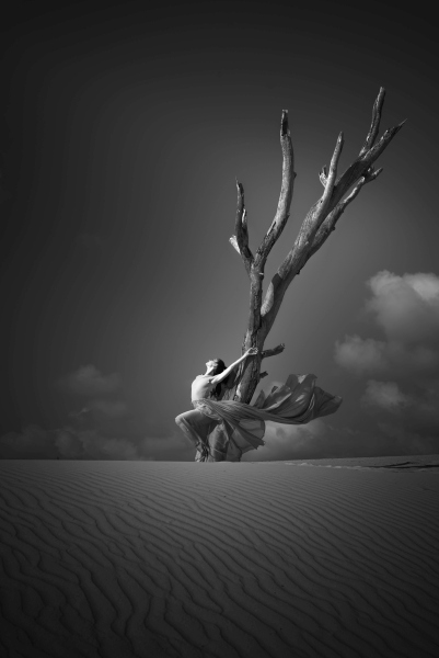 Alone in the sands von Dekel Abu
