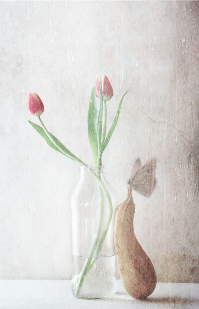 The pitter-patter of the rain von Delphine Devos