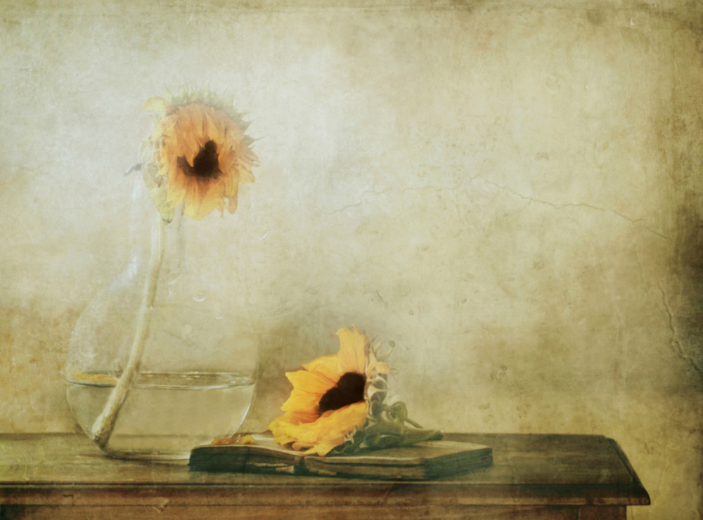 The black heart von Delphine Devos