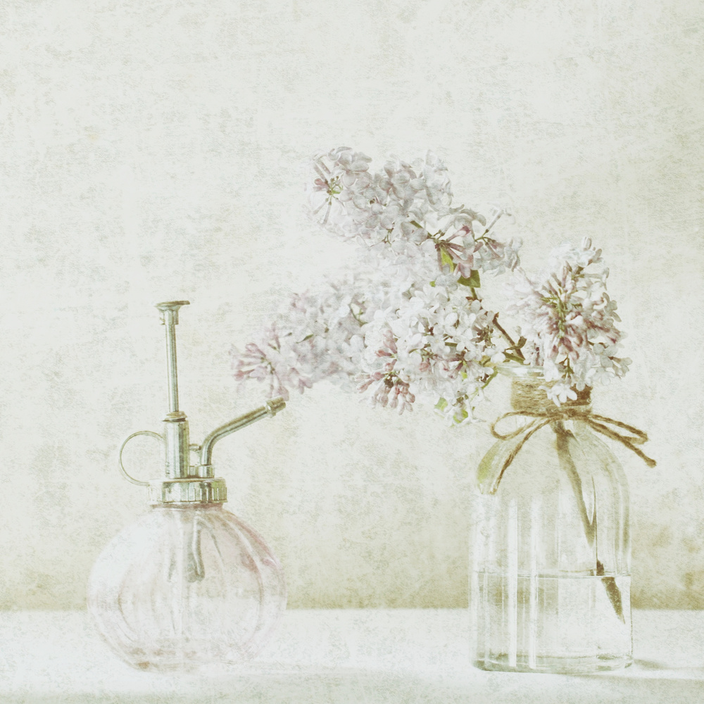 The Scent of Lilacs von Delphine Devos