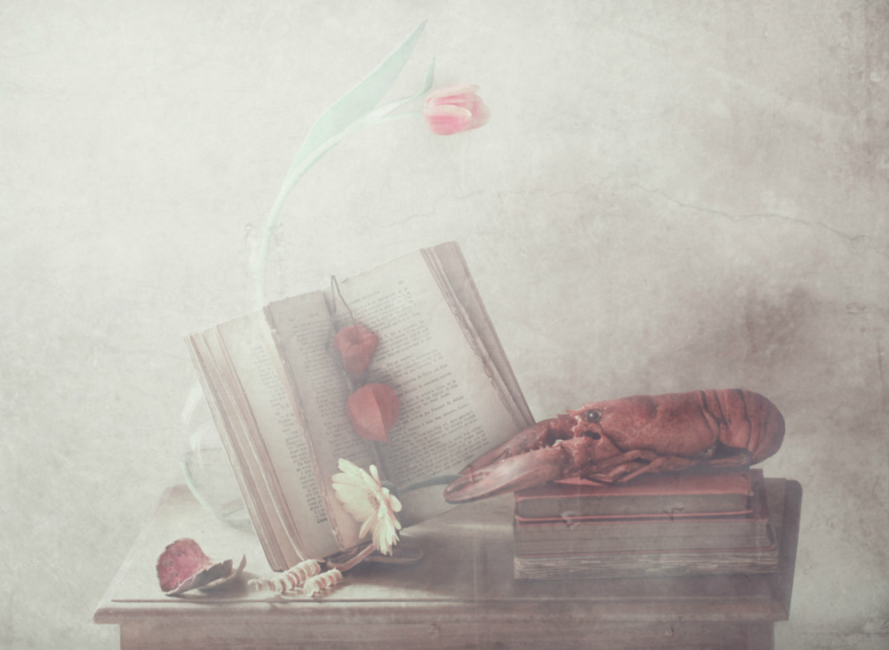 The crying lobster von Delphine Devos