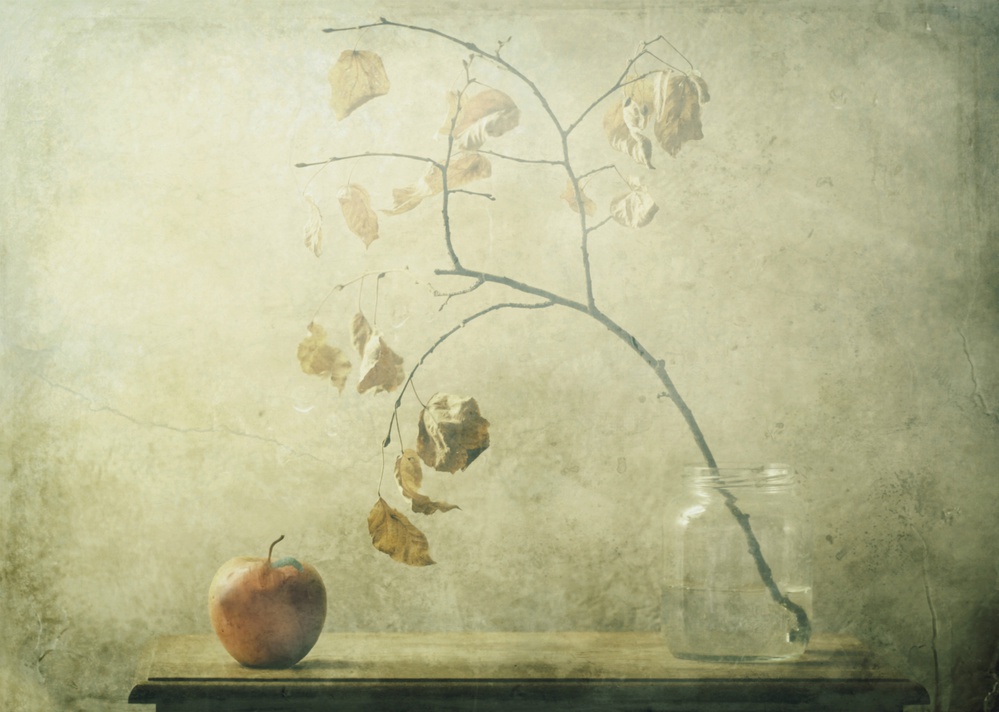 The Little Caterpillar von Delphine Devos