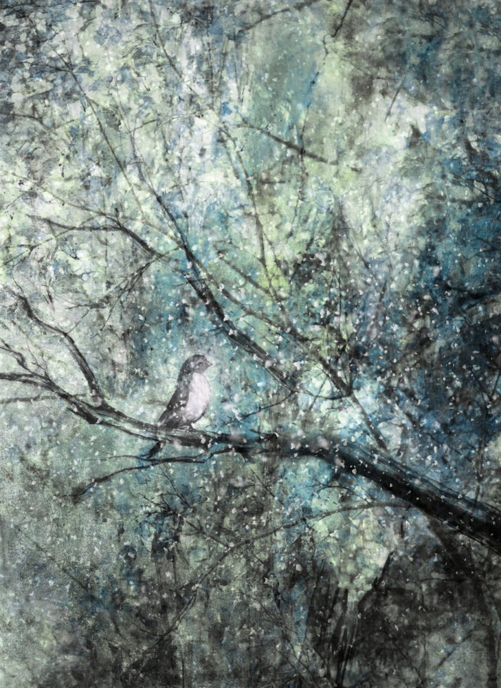 The Silence Of The Snow von Delphine Devos