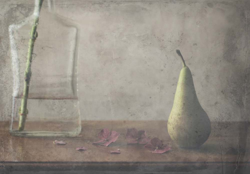 Time flies...so fast von Delphine Devos