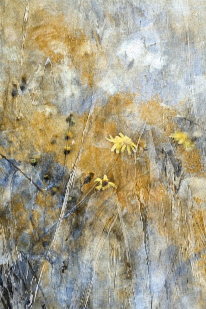 A Time Of Freedom von Delphine Devos