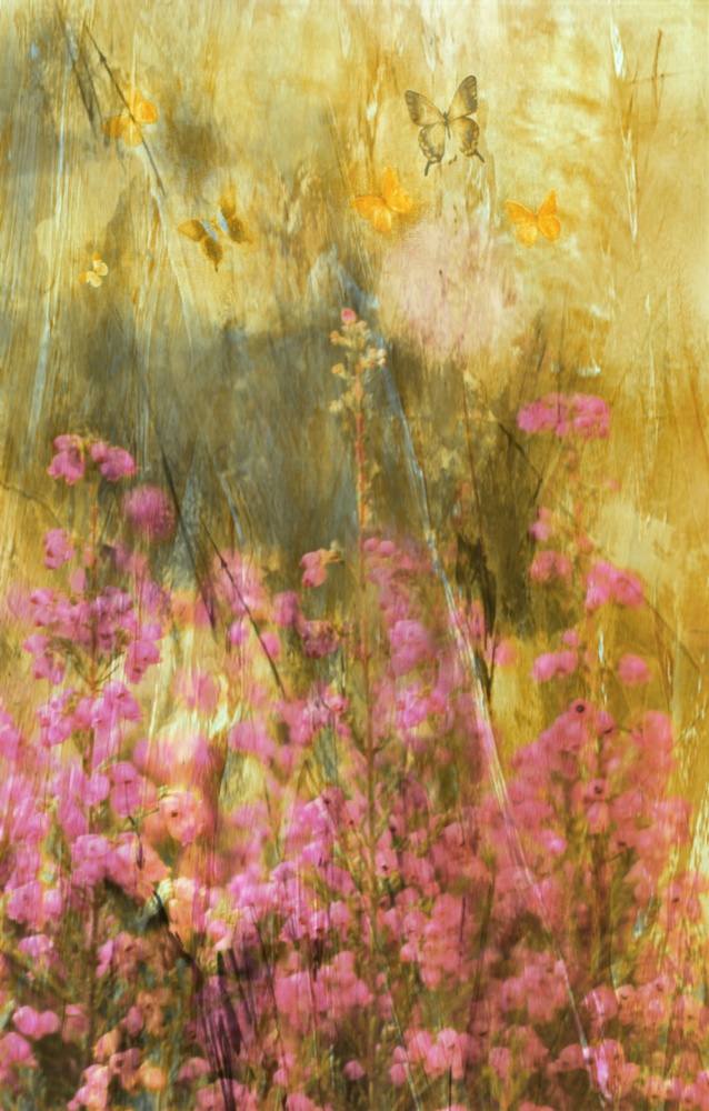 It Might as Well Be Spring von Delphine Devos