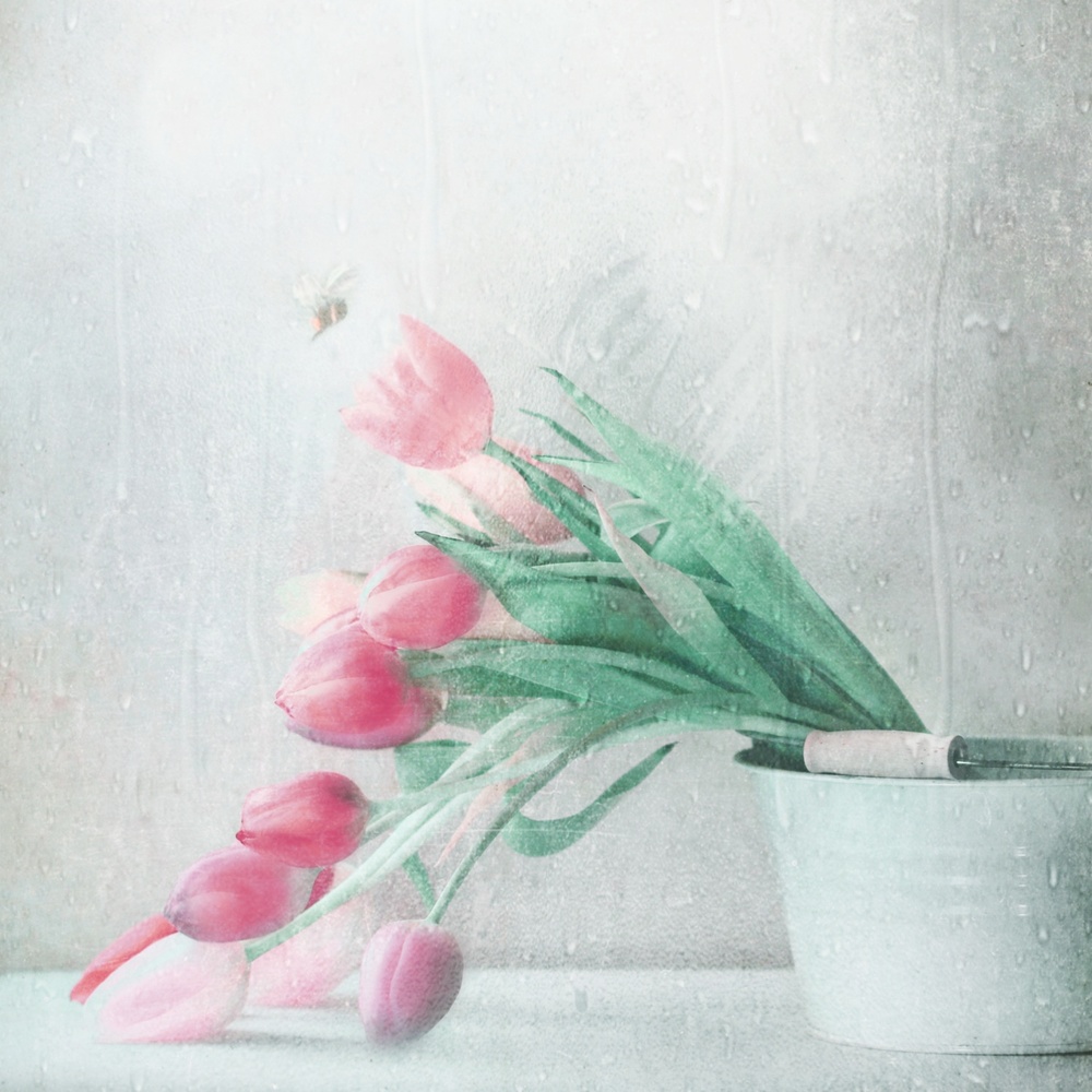 Early Summer Rain von Delphine Devos