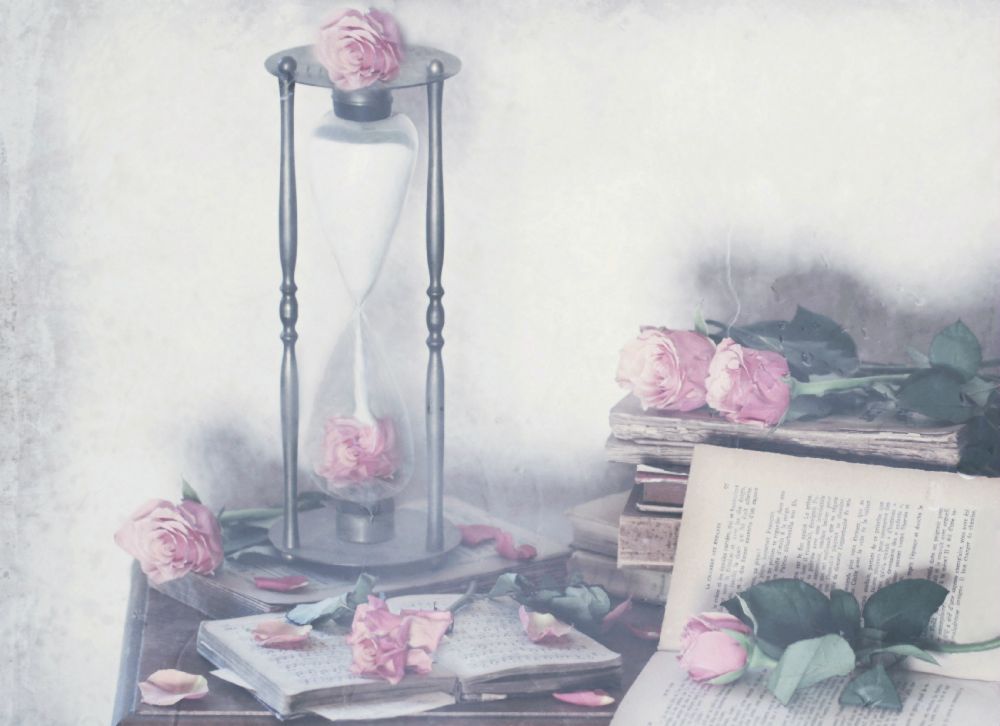 Gefangener der Zeit von Delphine Devos