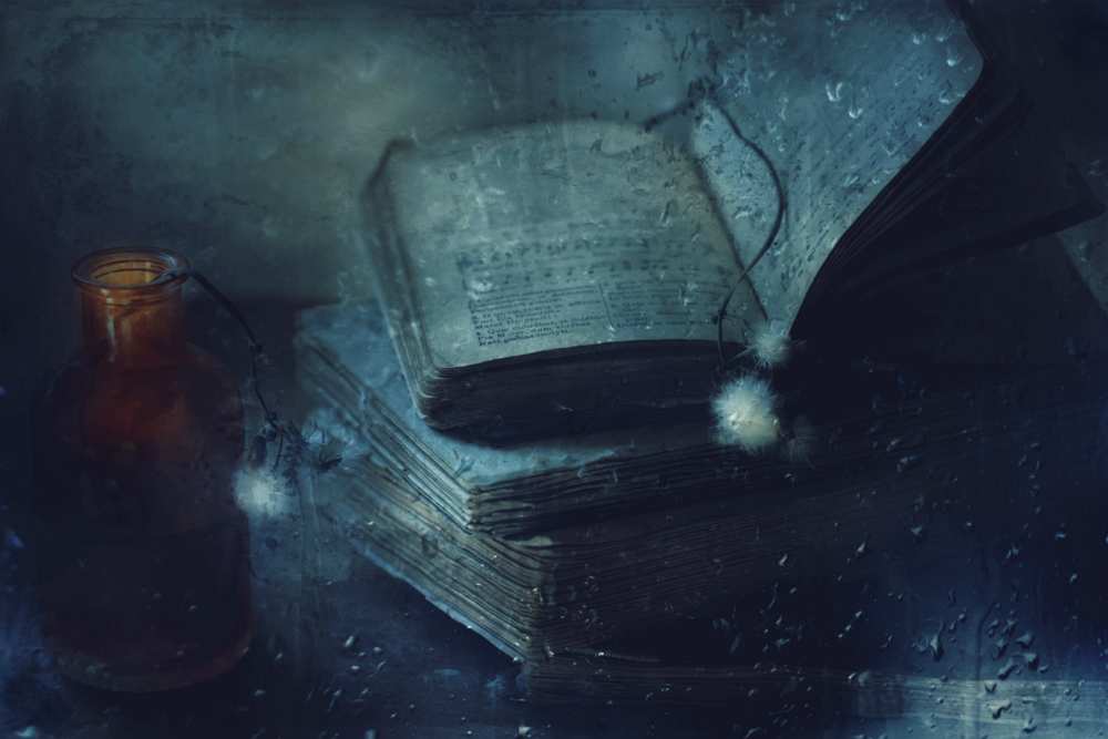 Moonlight shadows von Delphine Devos