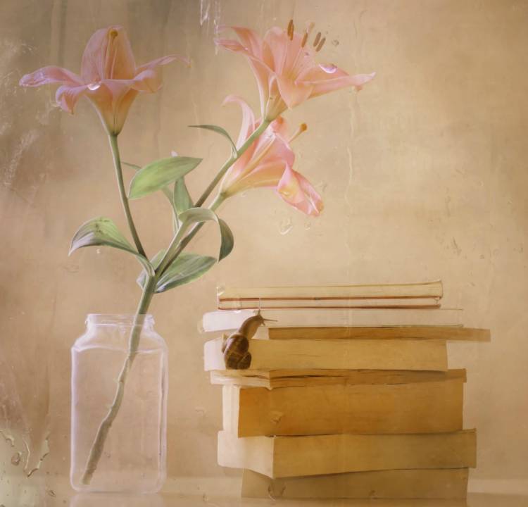 Slowly but Surely von Delphine Devos