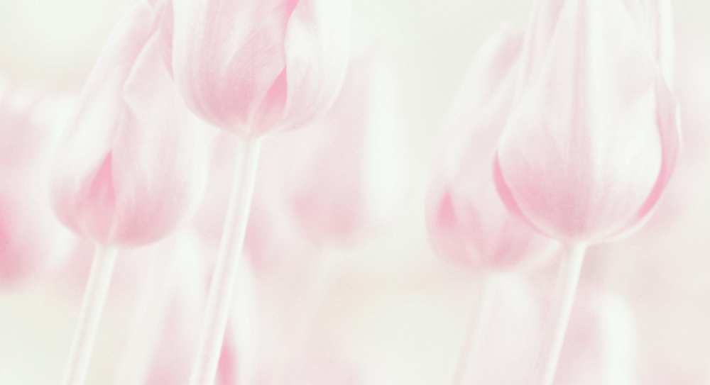 Softness von Delphine Devos