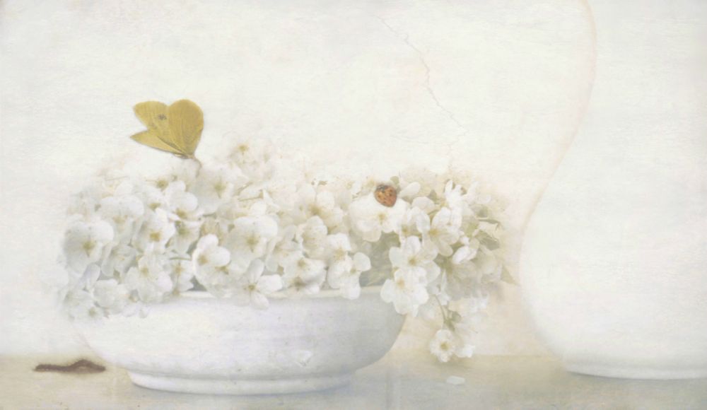 Sommer von Delphine Devos