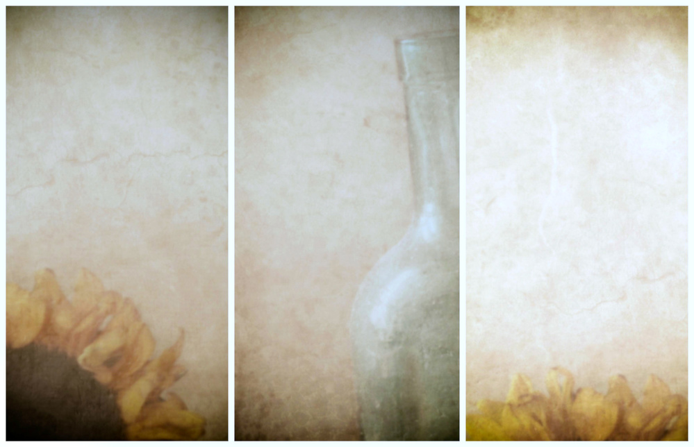 Sunflower von Delphine Devos