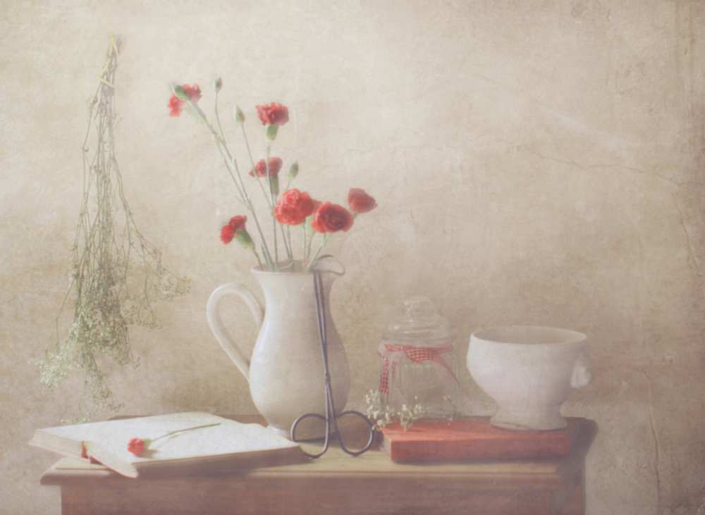 The Red Flowers von Delphine Devos