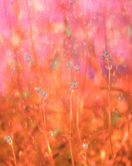 We Singing in the Rain